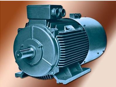 電動(dòng)機(jī)保護(hù)裝置 電動(dòng)機(jī)保護(hù)裝置